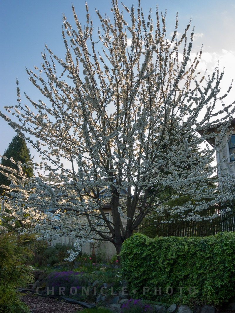 Before The "Snow", 2002