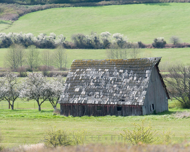 Barn, Orcas Island, 2010