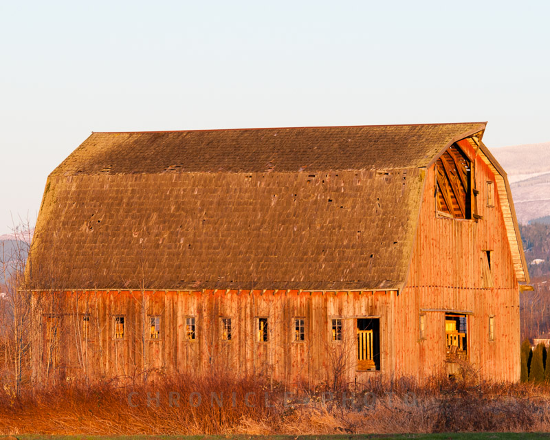 Barn, Skagit Valley, 2010