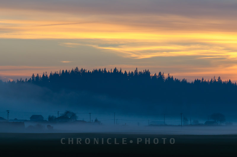 Evening Fog - 1, 2014