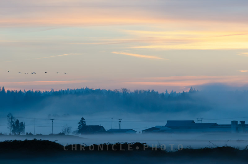 Evening Fog - 2, 2014