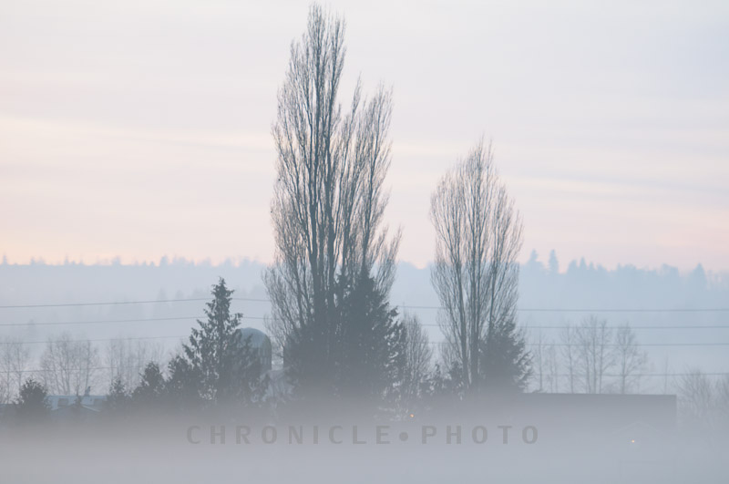 Evening Fog - 3, 2014