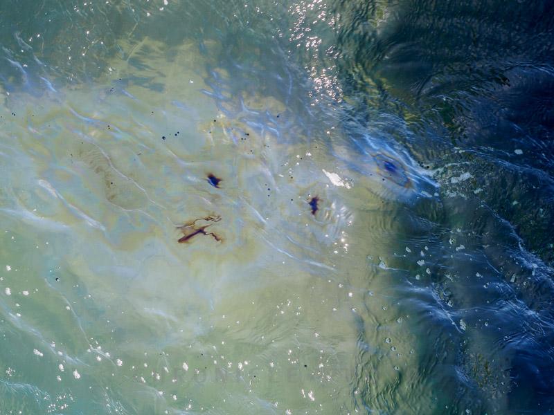 Faces Of The Arizona IV, 2015