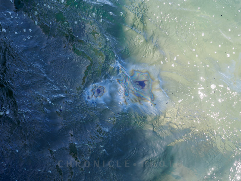 Faces Of The Arizona III, 2015